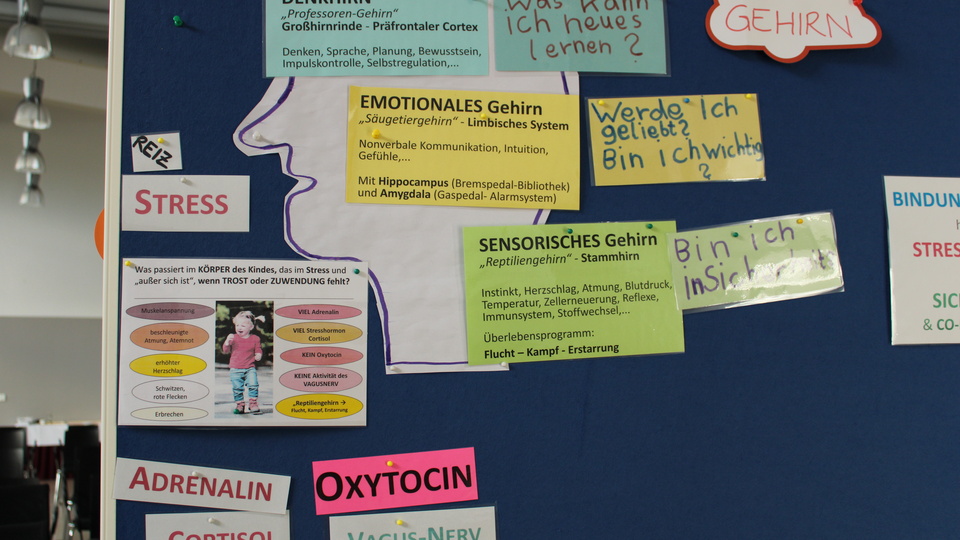 Eindrücke des Workshops © Gesundheit Berlin-Brandenburg e.V.